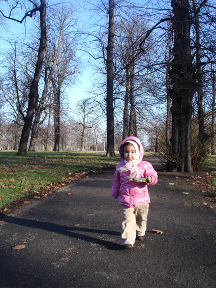 Dec 1 park 1.jpg